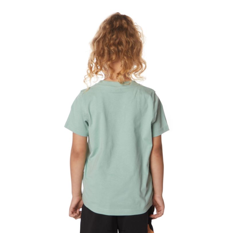 Kappa 子供たち キッズオーセンティックエステッシTシャツ セージ 480LJ658
